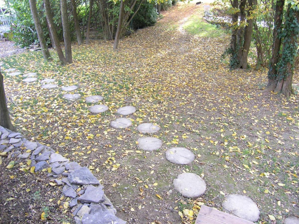 Forest Art Villa Zagreb Sveta Nedjelja  Eksteriør bilde
